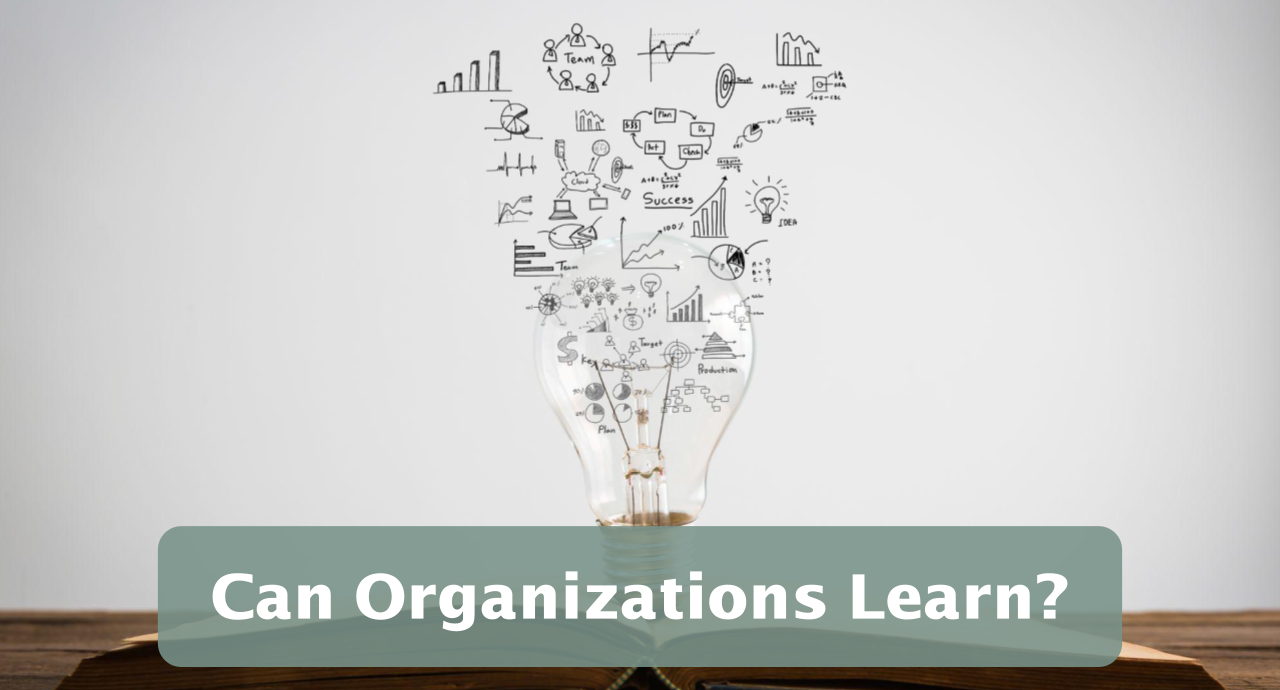 Featured image for “Can Organizations Learn?”