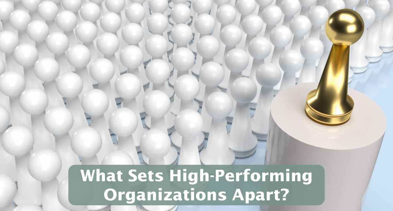 Featured image for “What Sets High-Performing Organizations Apart?”