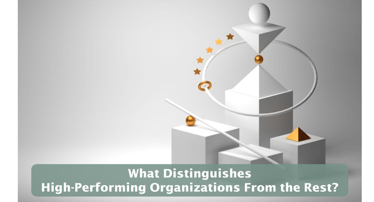 Featured image for “What Distinguishes High-Performing Organizations From the Rest?”